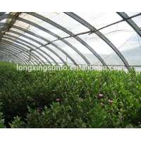 manufacturer OEM Multi-span 150 micron greenhouse film for 3 years