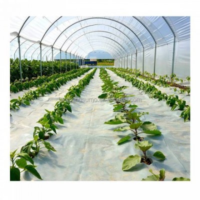 Pe Greenhouse Film,Etfe Greenhouse Film,Tunnel Plastic Greehouse Film Agriculture